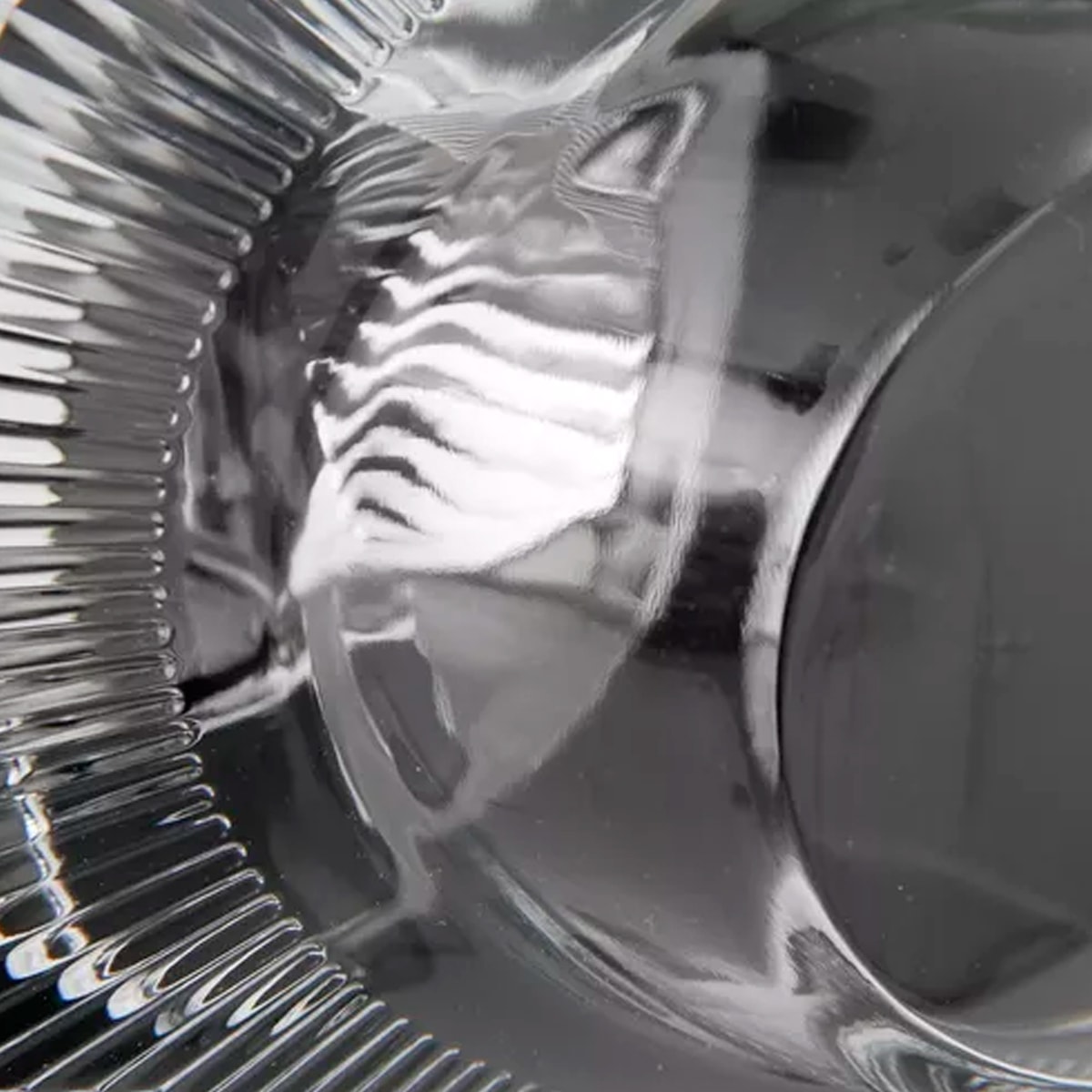 image_fc24f57f-b9fb-433f-b7b1-d525e49ee3a5