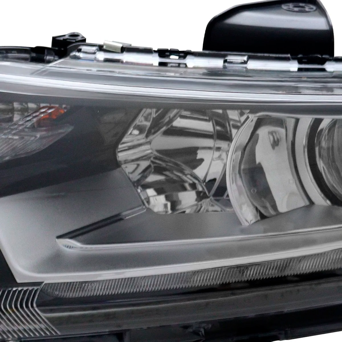 image_486b10d2-01da-4104-9803-ee2baf0a23c2