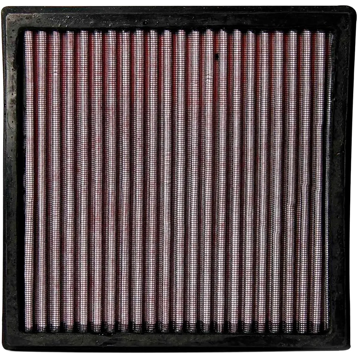 image_ee1789c2-6834-4e4c-baba-113a71ee11b2