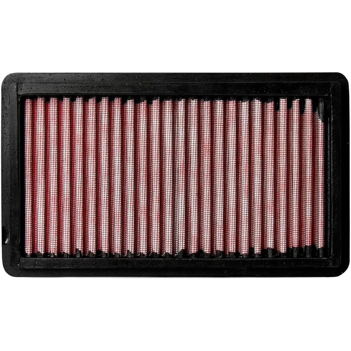 image_370393d5-143d-4290-8f0e-270194120a24