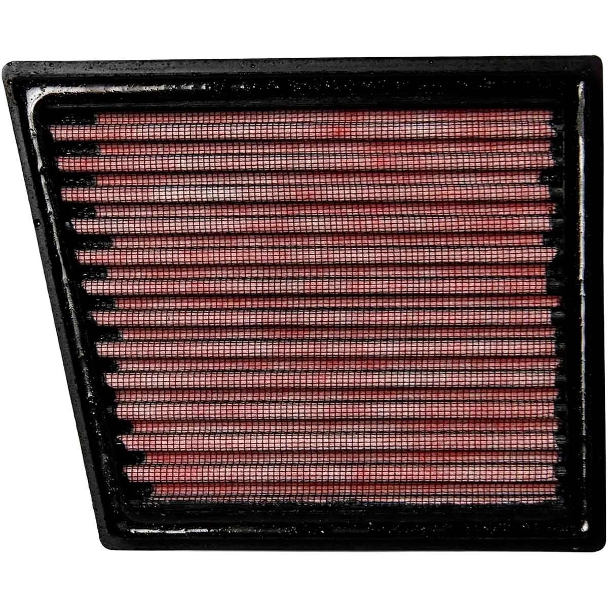 image_62047b98-f95f-4c8c-9bfd-d10026d73844