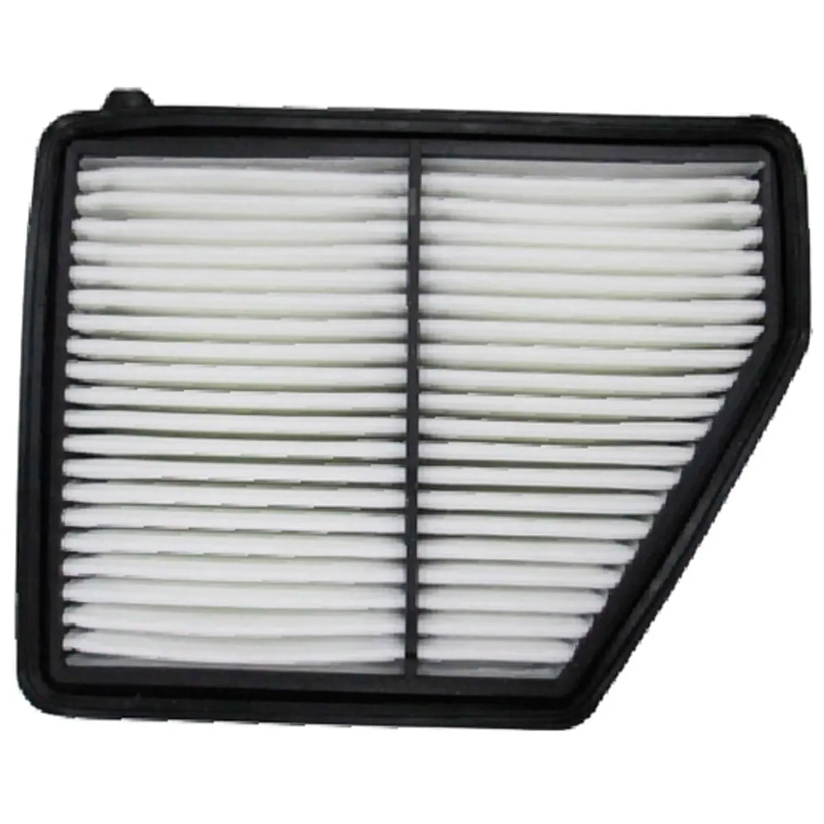 image_cf3836d5-3670-4c08-aad1-85ba39a05a72