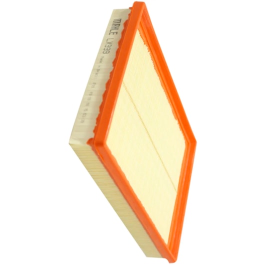 image_246171a1-608e-4349-9eb9-b10748c2292e