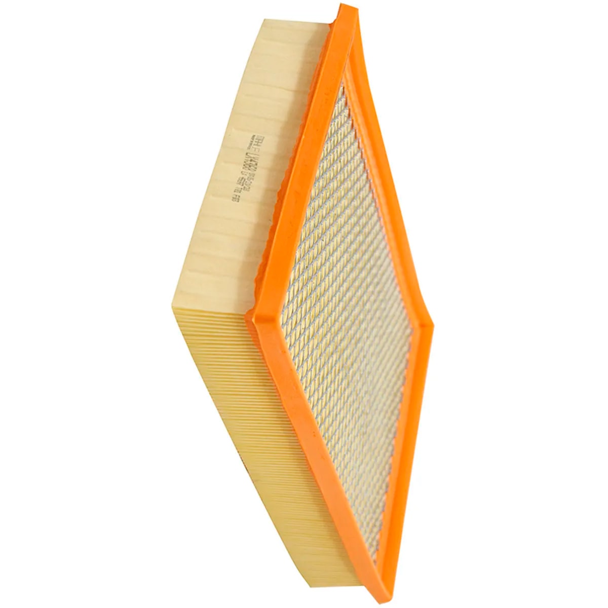 image_3ba1d679-9ea3-4428-b61b-eaa7ce4d95e1