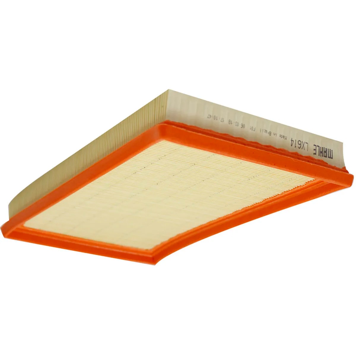 image_da565c1d-d5e1-4c2b-8398-5c664d69f302