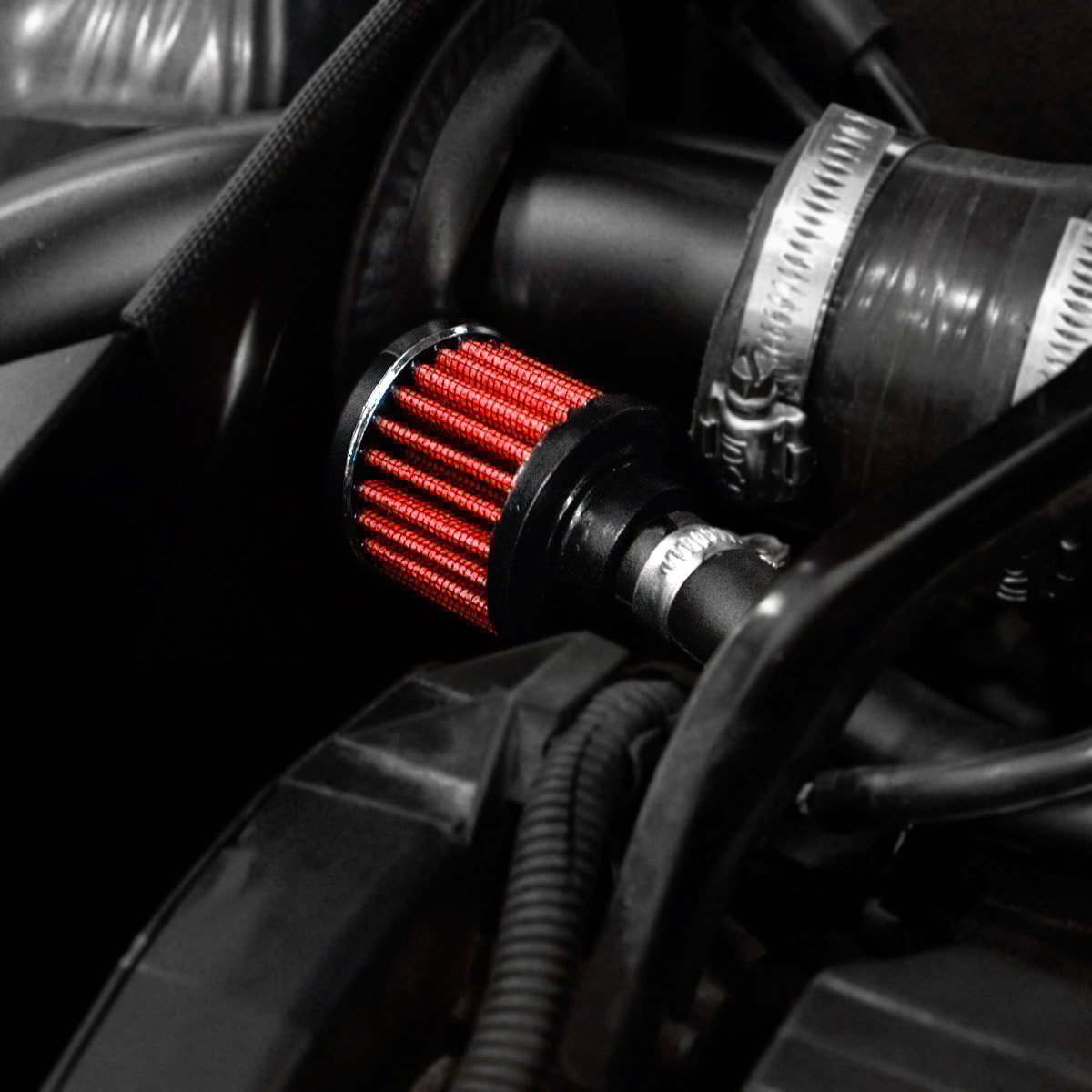 image_ca17822e-b591-4217-a113-6cc91d1b1855