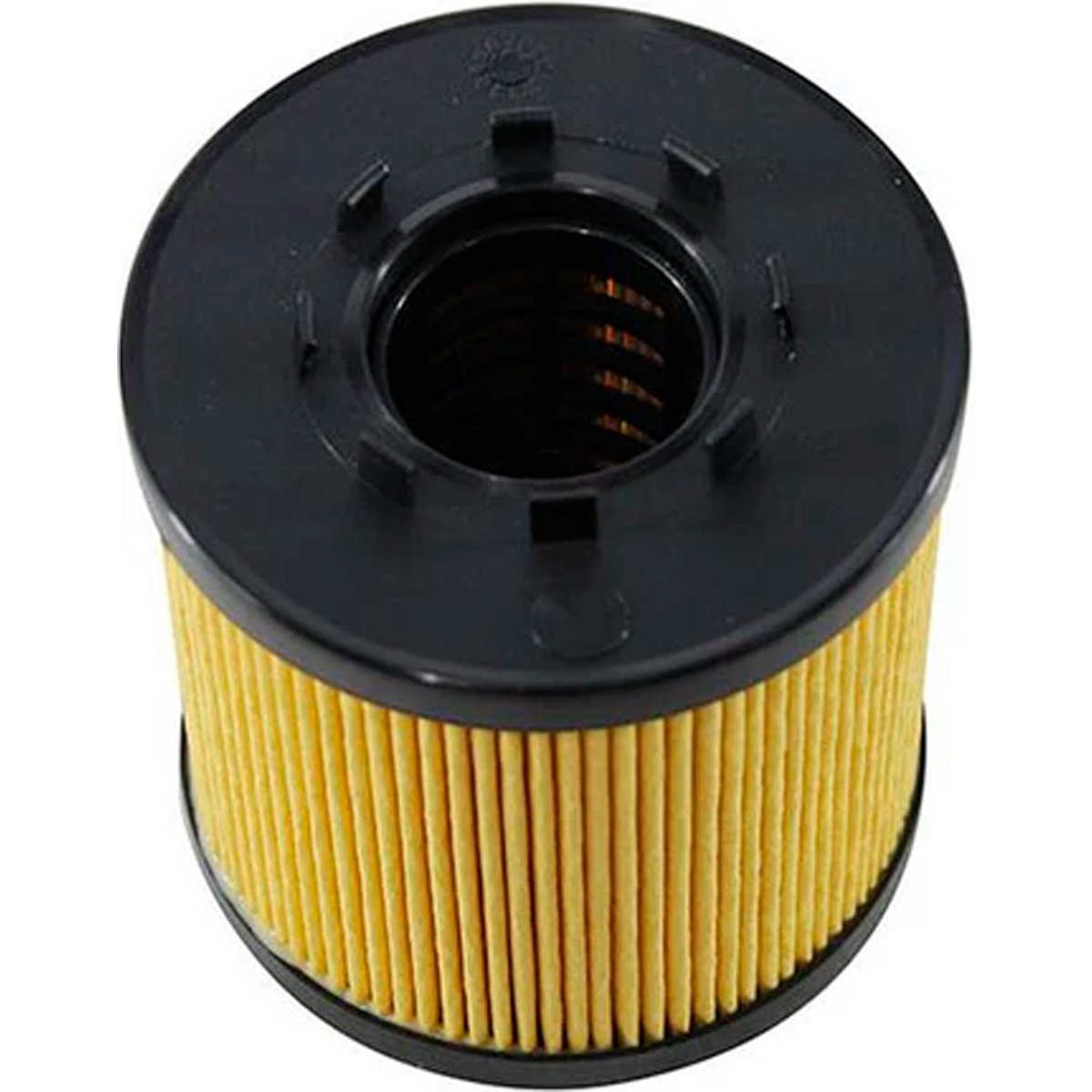 image_e838cf8c-4bda-4507-b3d1-69544a2fbdeb