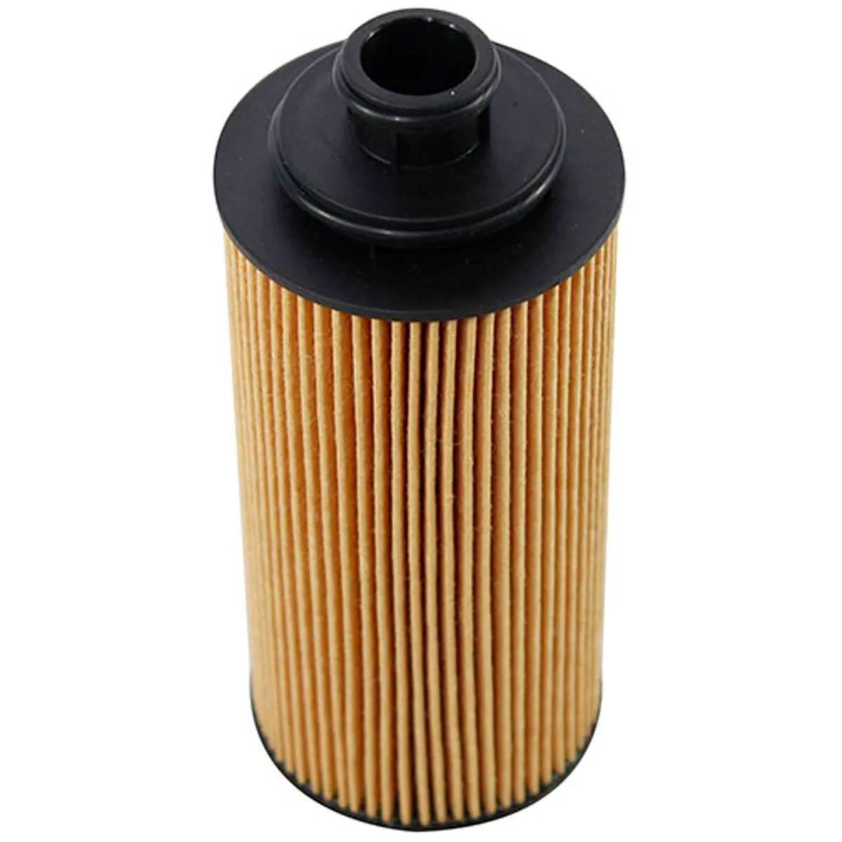 image_4b749087-7da4-446c-bae4-7e8da6d12d9c