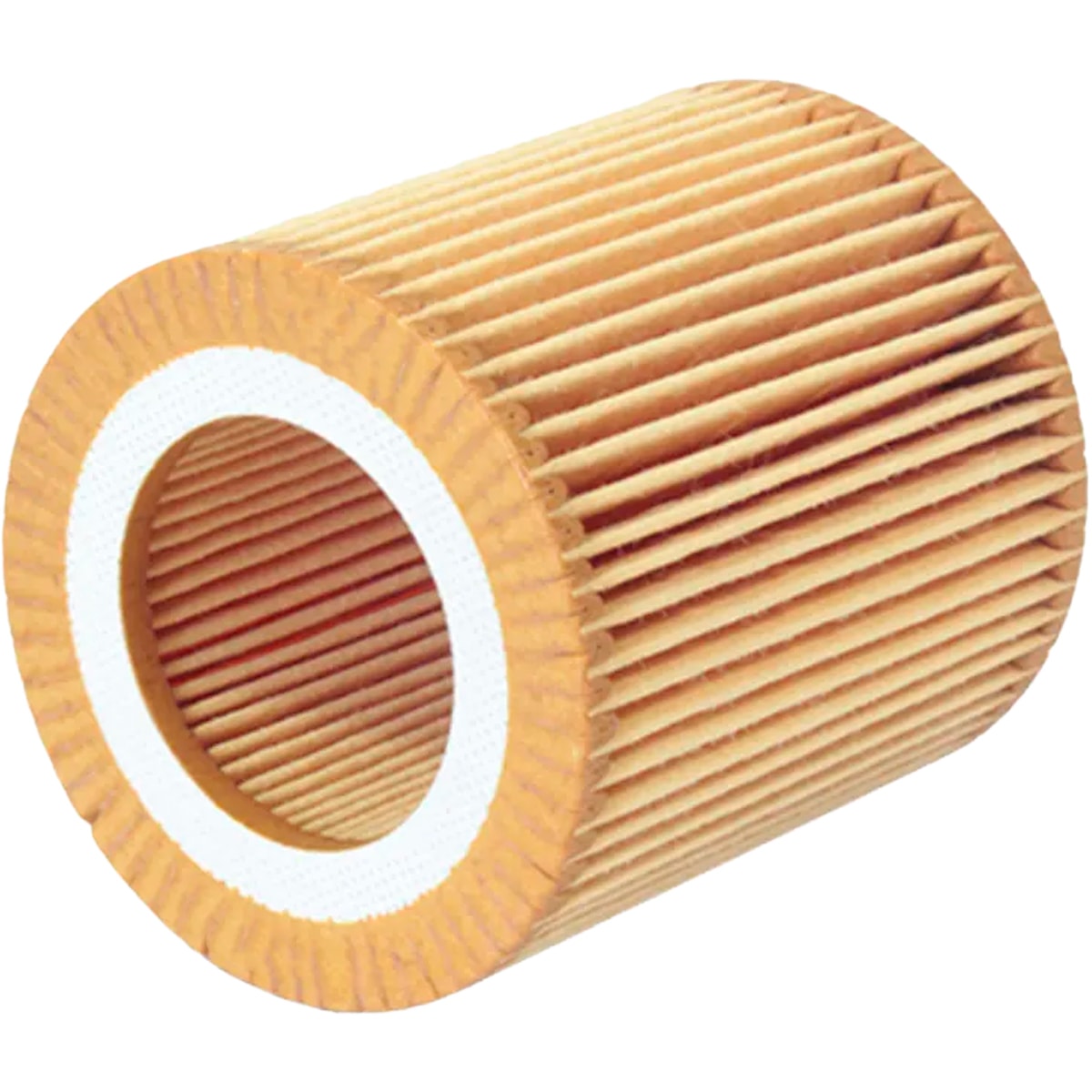 image_98208ff0-8f7e-412b-b129-b27e1c5d7884