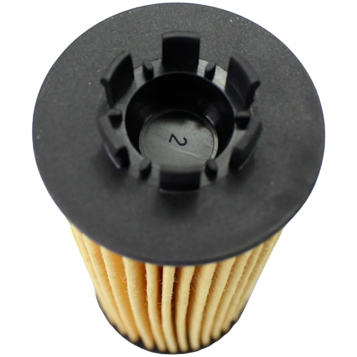 image_086c7719-e4aa-4896-a87a-6d797c6ad5d9