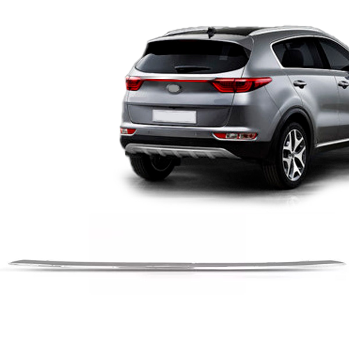 image_0211f721-1119-4e13-aead-bb3c98dde118