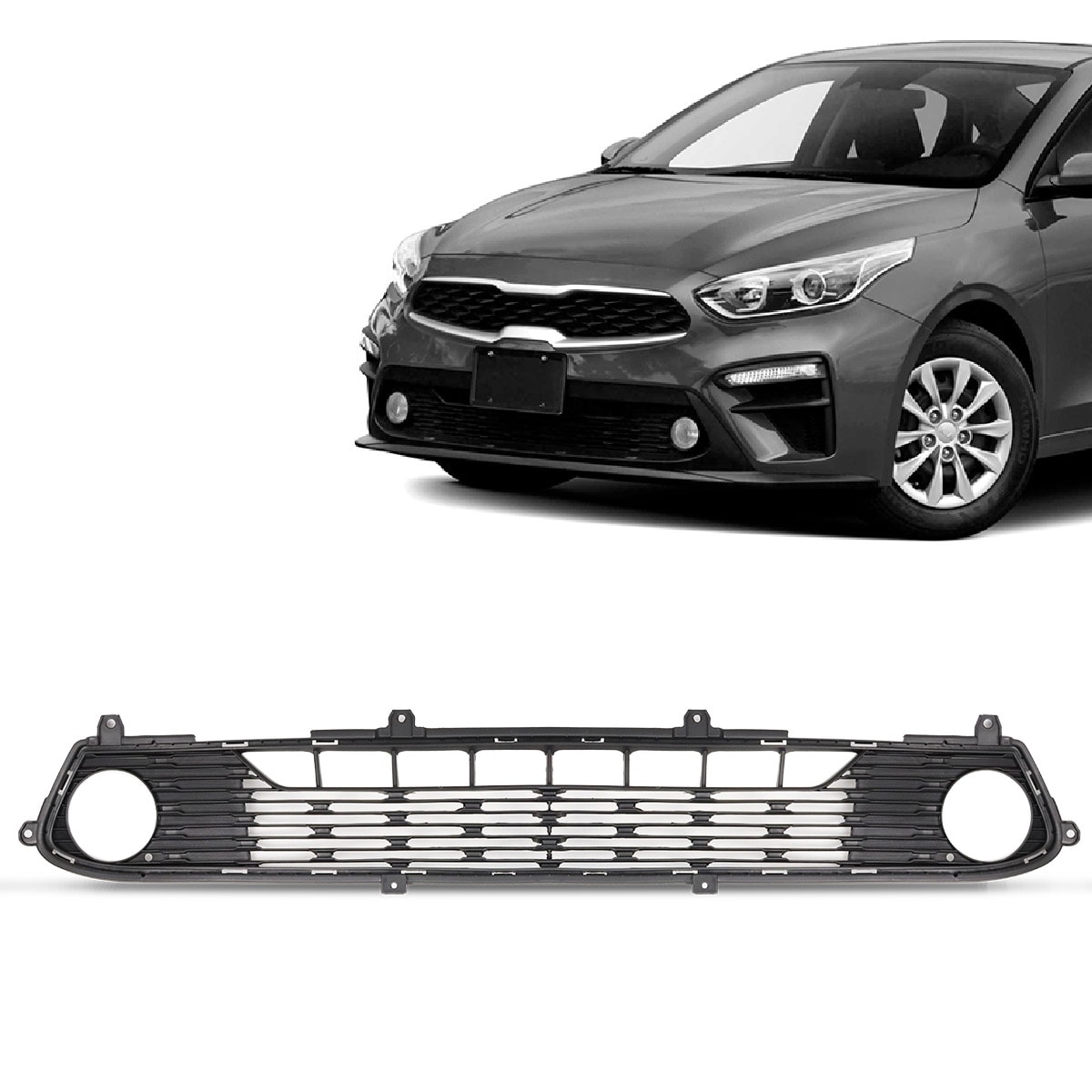 image_81ea07d3-7cd1-407c-9cde-0450f94f019c