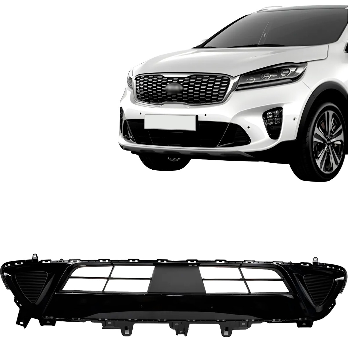 image_b2b44341-8be9-4e08-acaa-6d7106e34d5b