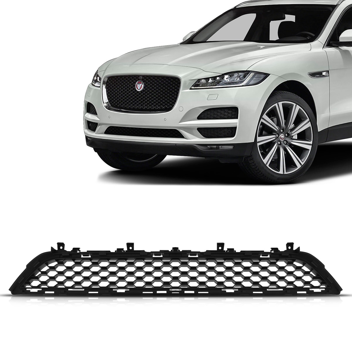 image_14b0fe63-385a-485c-b452-939e4dc6d266