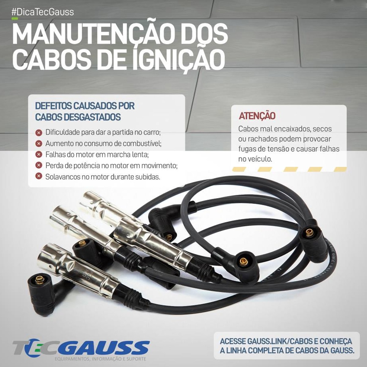 image_adc4b8a4-68e2-40b7-9381-53479206b258