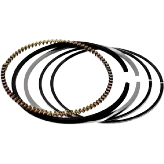 image_dc3bdc65-4b37-4b7a-b523-59fdf4a610bb