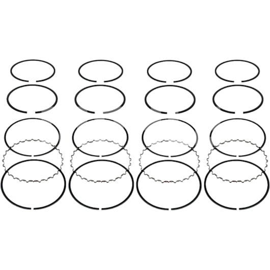 image_0afb80fe-2f84-4bd5-ad5b-5d82c9ab8daa