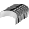 image_0449d065-a10f-46a5-a75f-0e7c6746ca7c