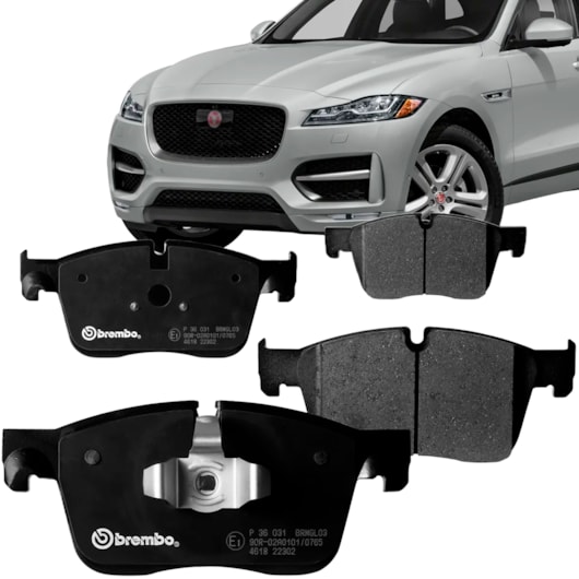 image_e70977e8-9c28-40a4-9174-ffe6ae9bfbbd