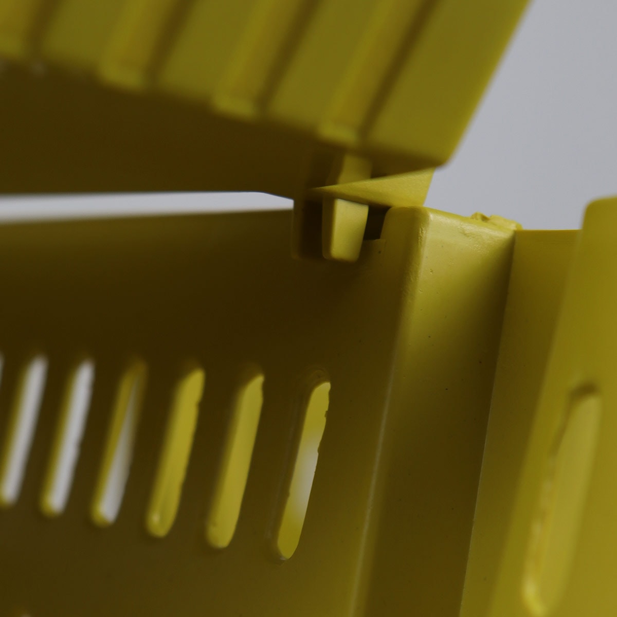 image_d20ffdcc-168d-4570-baa2-7b2ade924a24