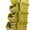 image_cb50a9cc-2cc6-4e5e-9f82-b7c5b43fd39a