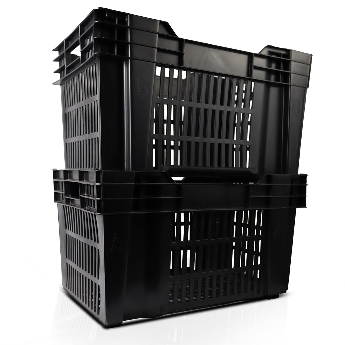 image_73be75b1-16ae-4f2a-9f78-125cfb17cdf1