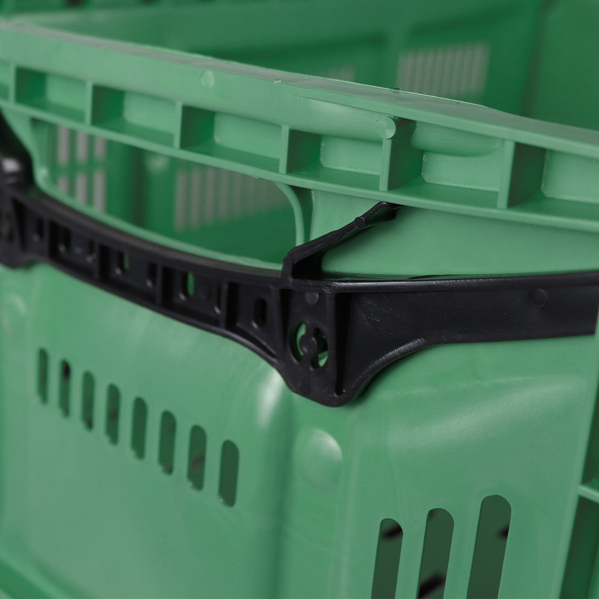 image_8636afc6-4eeb-4e4a-a146-70502f2dc484