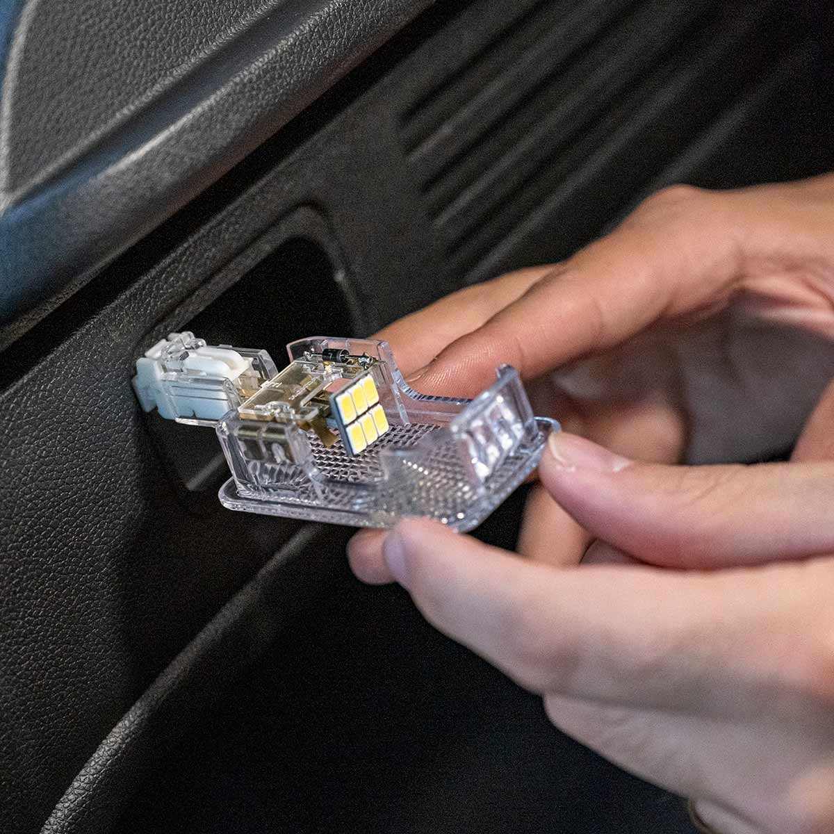 image_774de954-214a-479a-89fe-062511c2f551