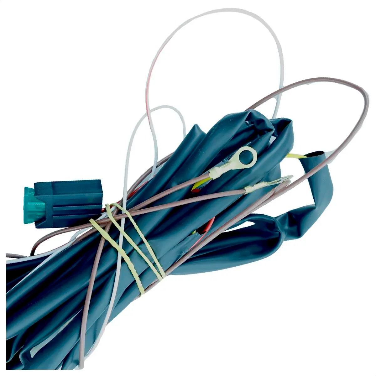 image_1cbf2bb7-1179-4e11-9b63-b6c9226c7a28