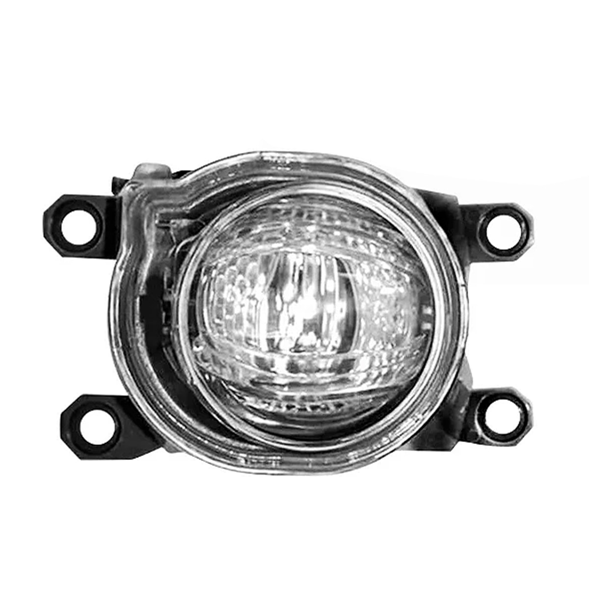 image_ee01c9ac-45b7-41d6-9add-9ea97b1cc62e