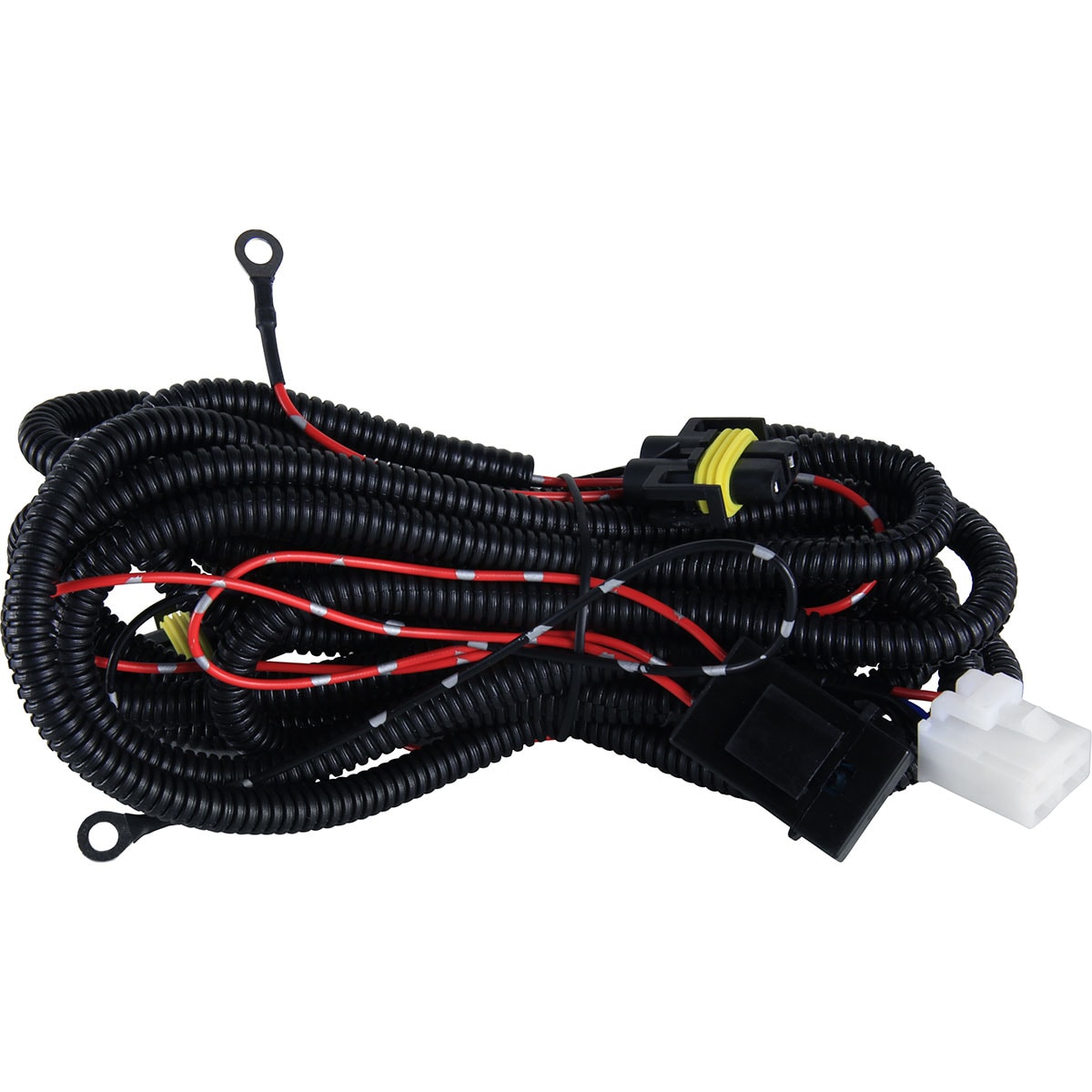 image_4d537941-7af6-4c55-8a73-e7203d7d8202