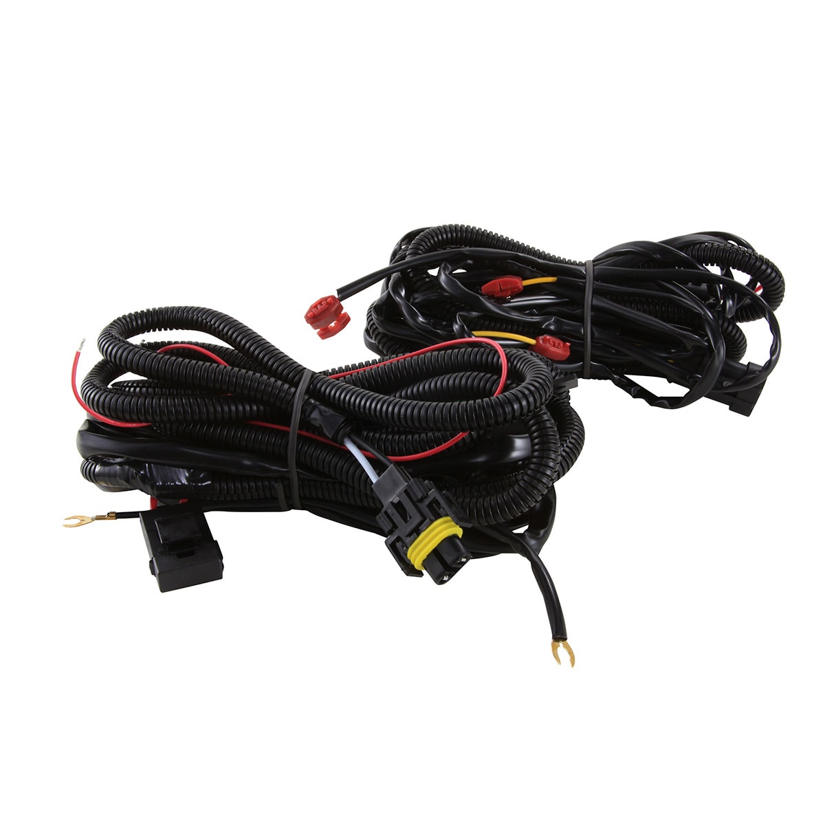 image_9ccfe113-f5f3-4703-a0e8-17346ec7a97f