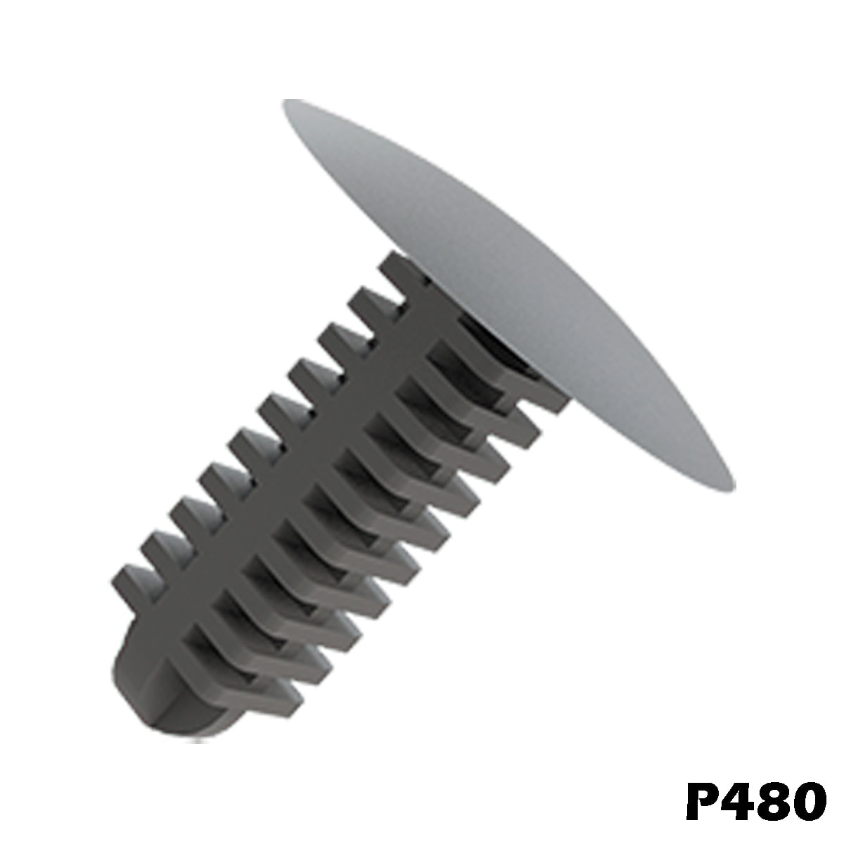 image_1e077c79-05f9-4dfc-939b-0c61a1bb5e36