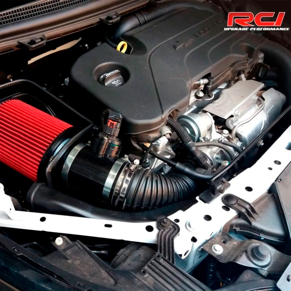 image_d083658b-f525-4ef5-aca1-3886ea9c9ad3