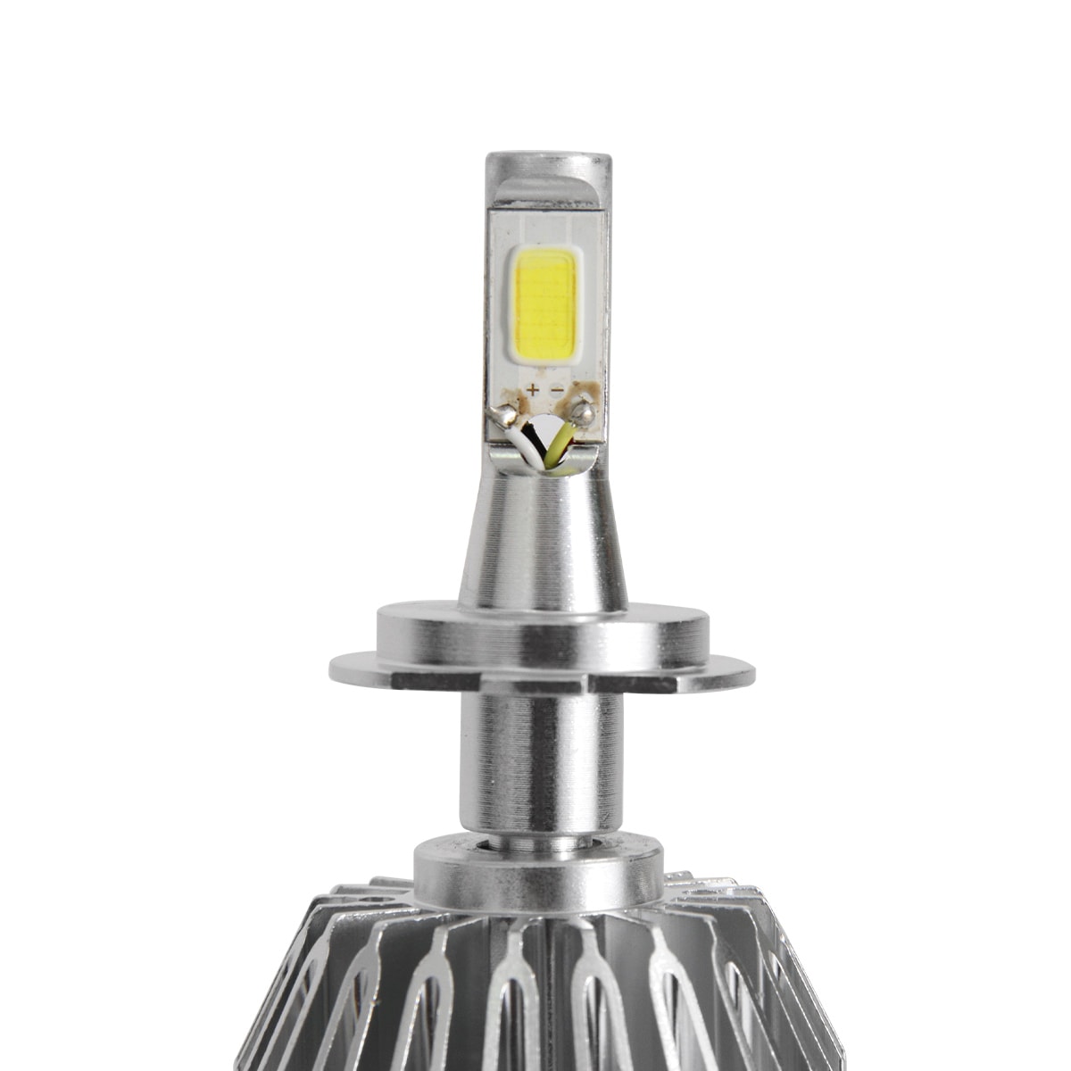 image_7ae2ffa2-4540-4531-970d-348a739dd1ed