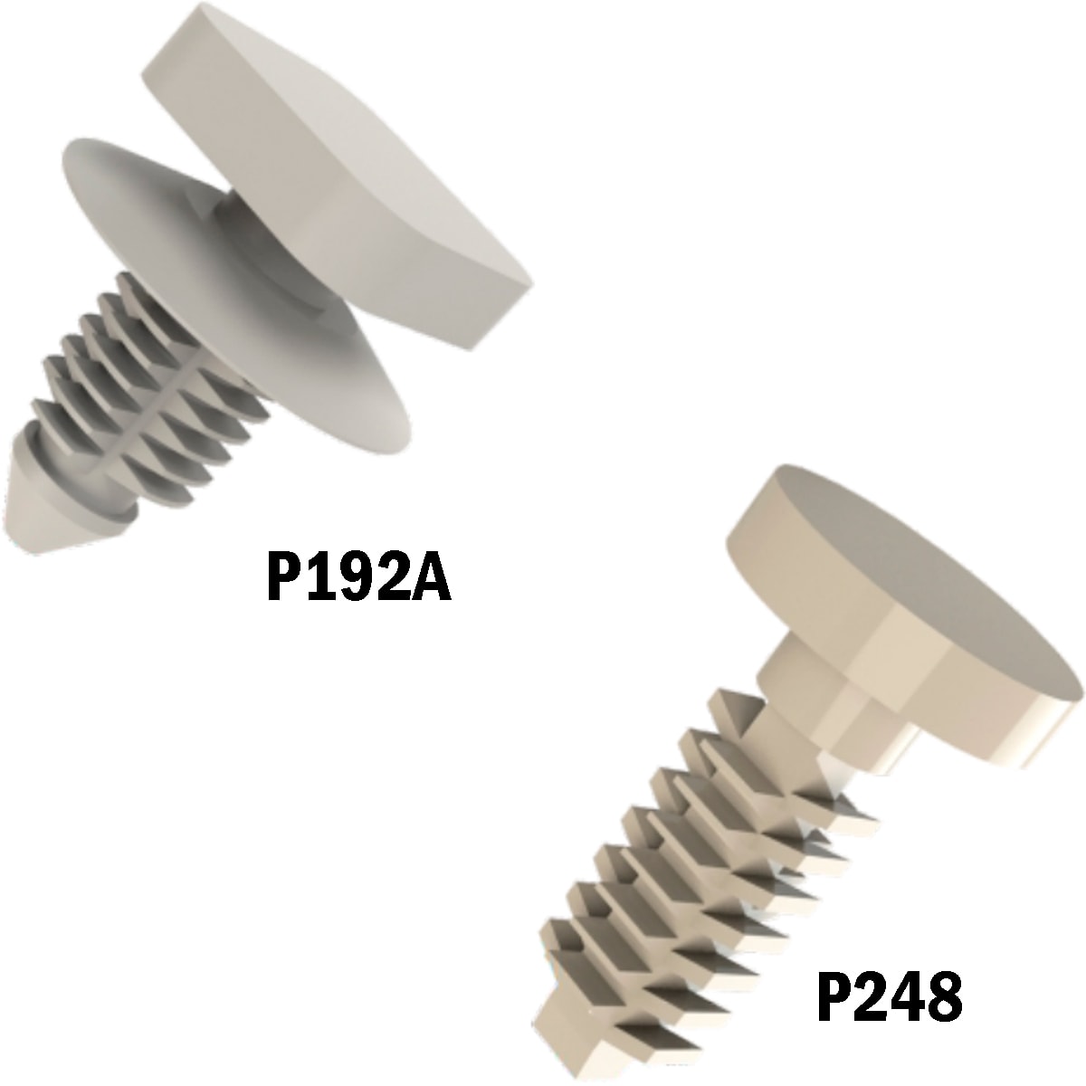 image_ebcd3c97-3e4c-4e1b-ade3-c2d881b83d61