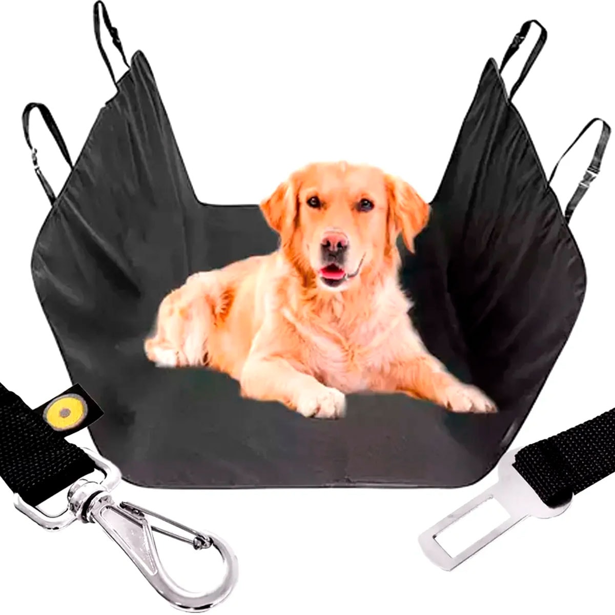 image_3ddb05b9-e191-4e6d-bddc-e49db04af540