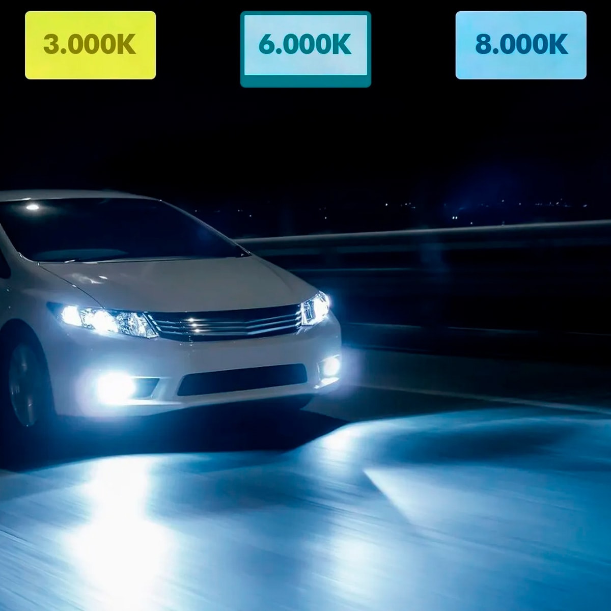 image_d907613a-df9d-4e84-873e-b0c2d534e53b