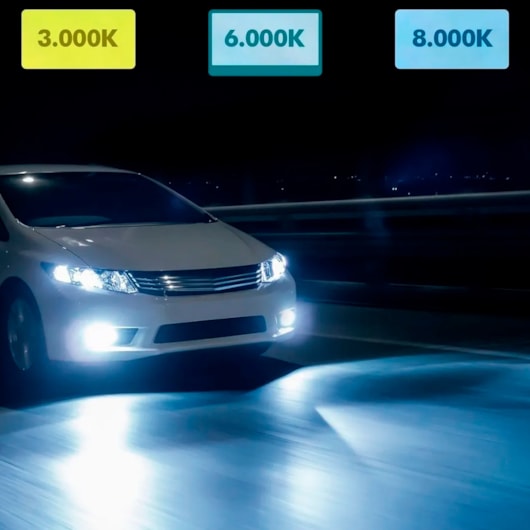 image_48d06056-fe87-43bd-8ff7-505d1fca2a80