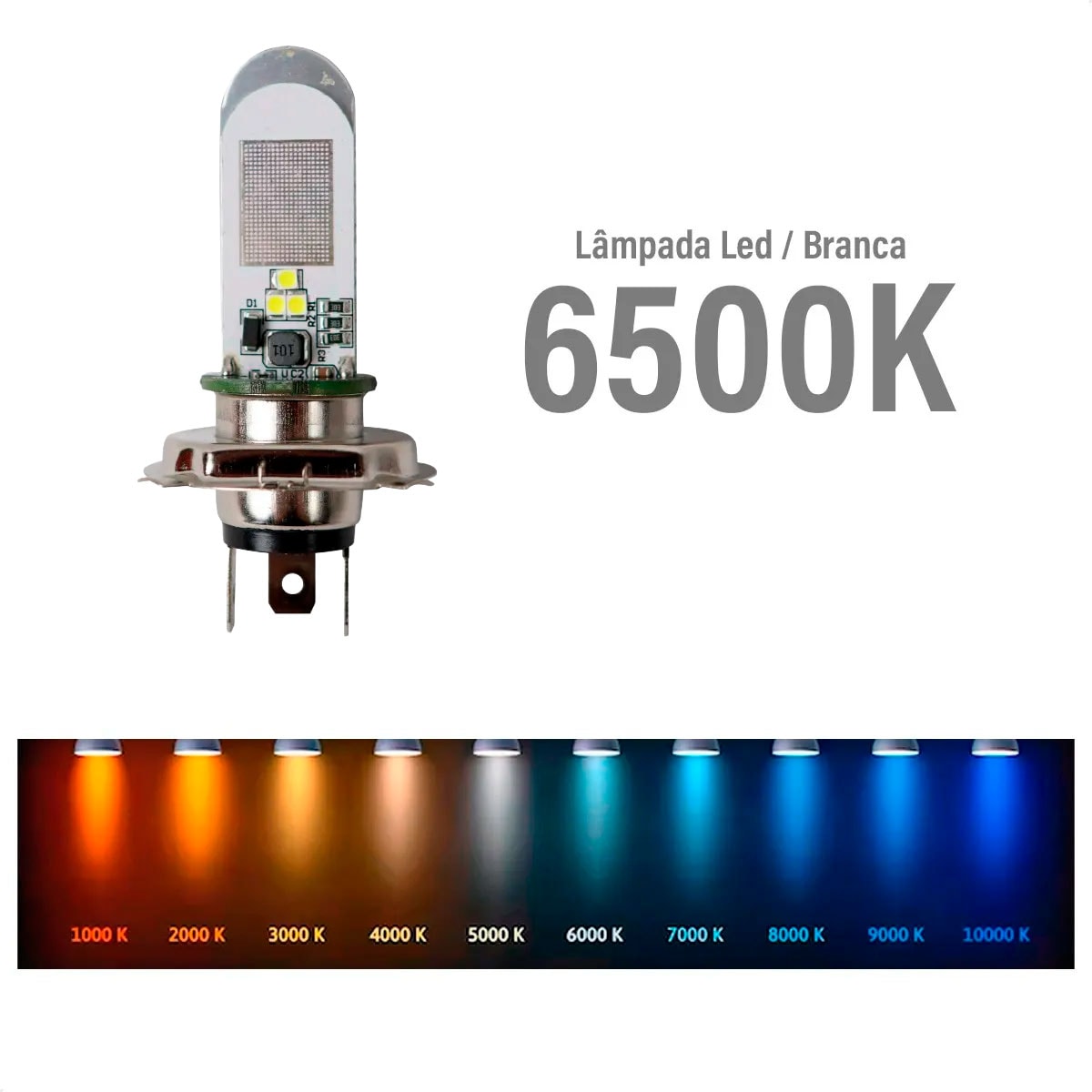 image_da9dc0c3-5c85-4156-95ae-ee6cca448293