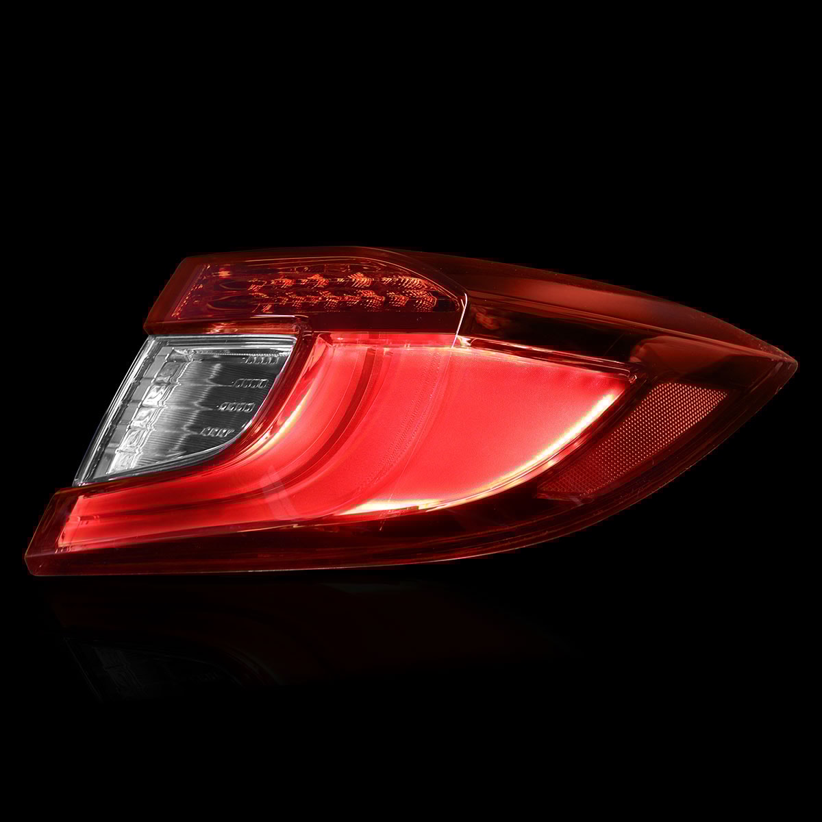 image_f167056d-146b-4193-bbb3-78cb8f668a9e