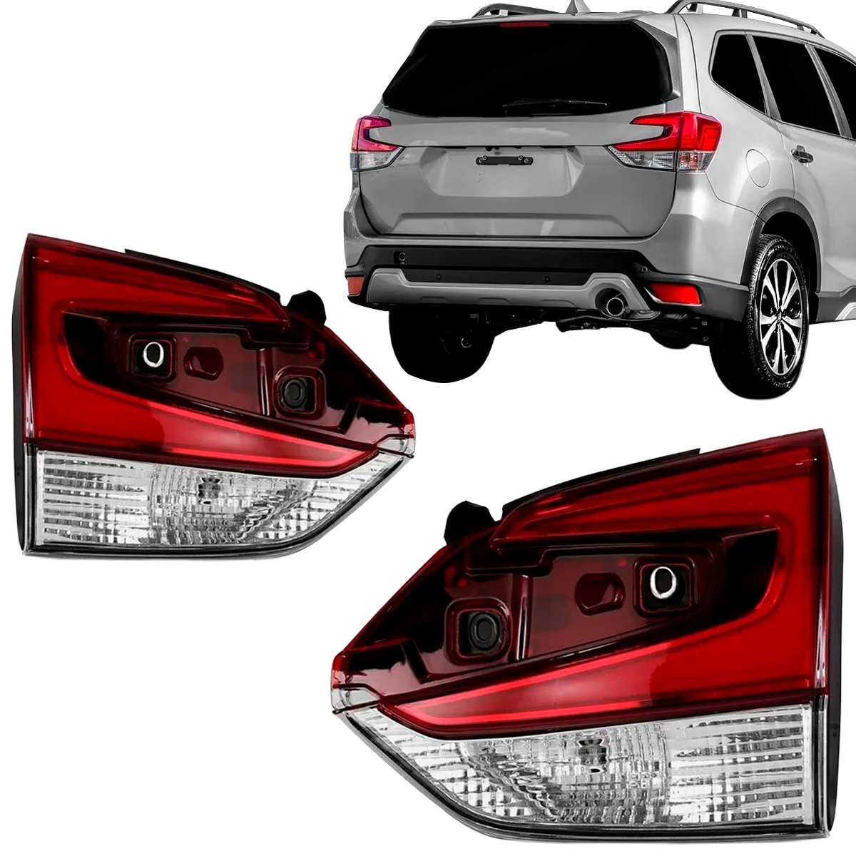 image_c49bd8ca-1d31-4736-b6b7-ba58b15731cd