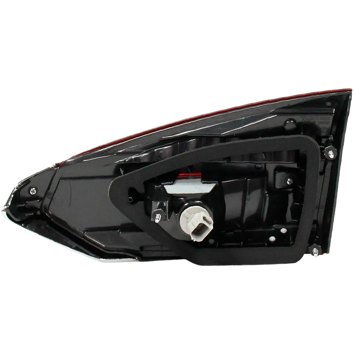 image_b564dcaf-72d9-4c70-aeb9-af5bf11c7f8b