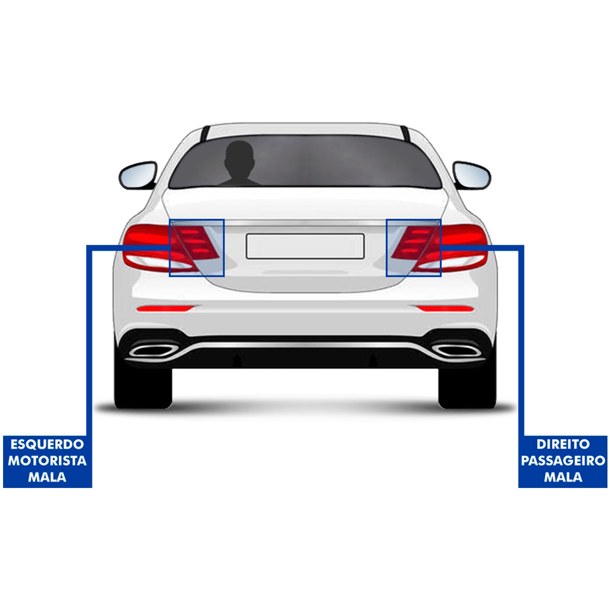 image_d31ff1af-69bc-445a-a6c8-0a9aeb272af3