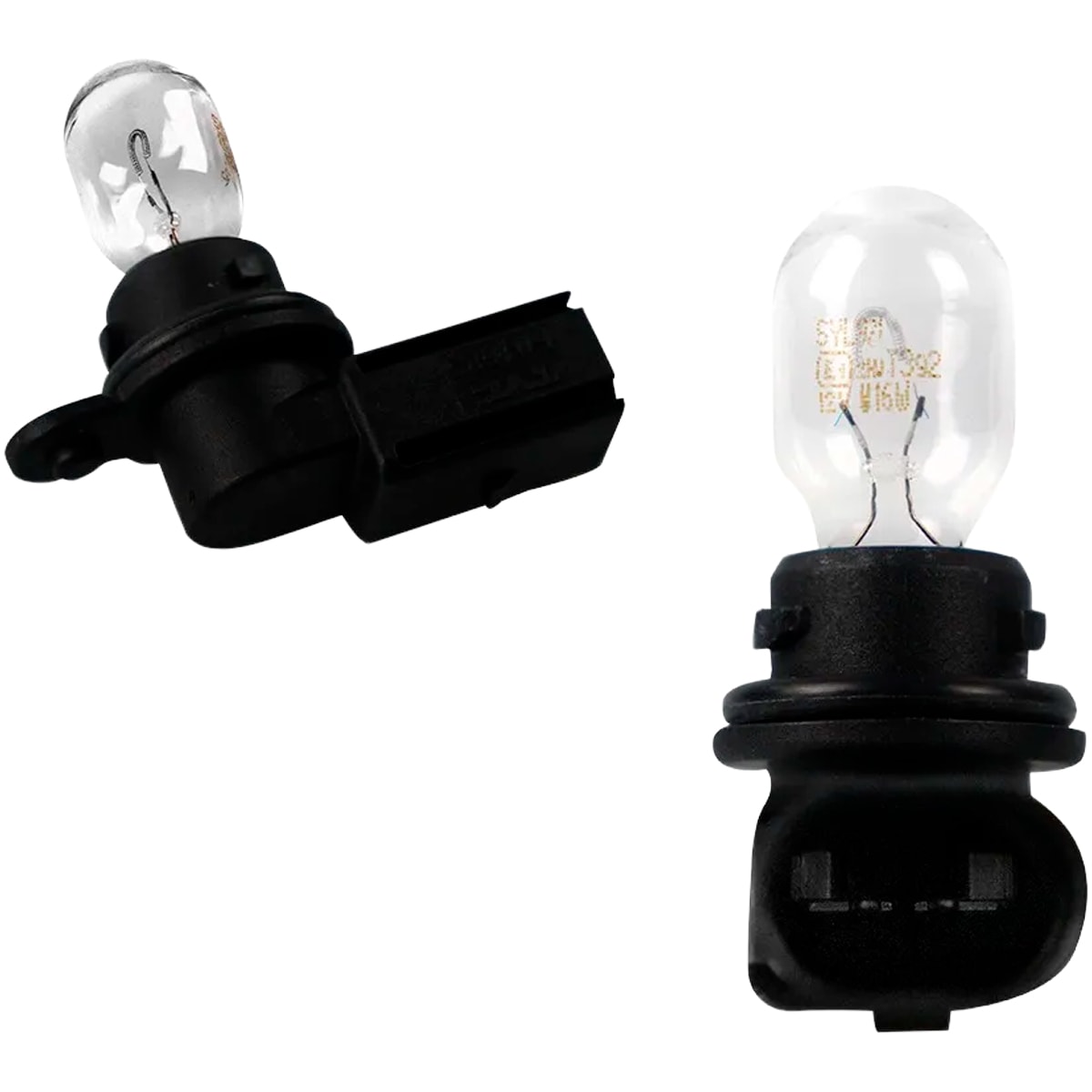 image_da407bc4-141d-4eda-abc7-f7acc544d937