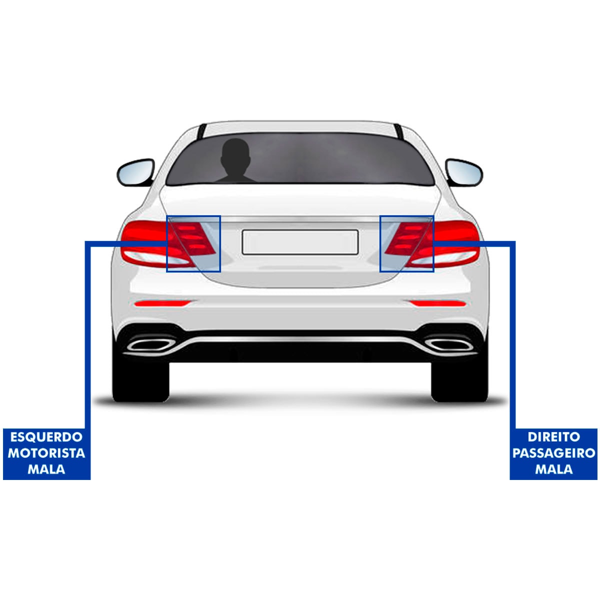 image_79c3597a-5e56-48aa-8c78-b4618d7af2b2