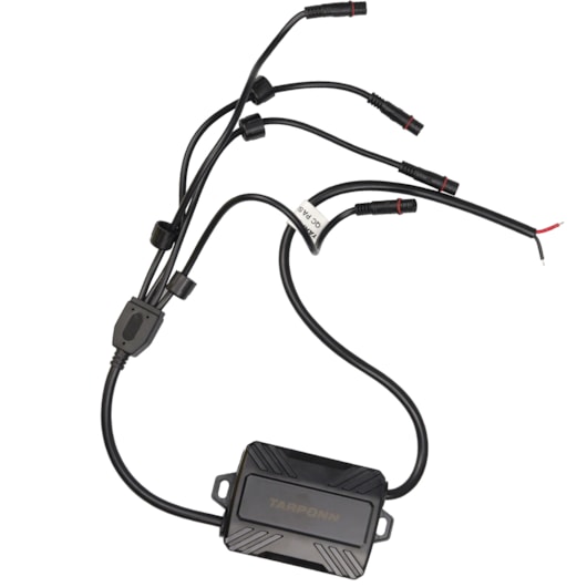 image_d5958b16-0b41-4648-bb42-4e9321e96b79