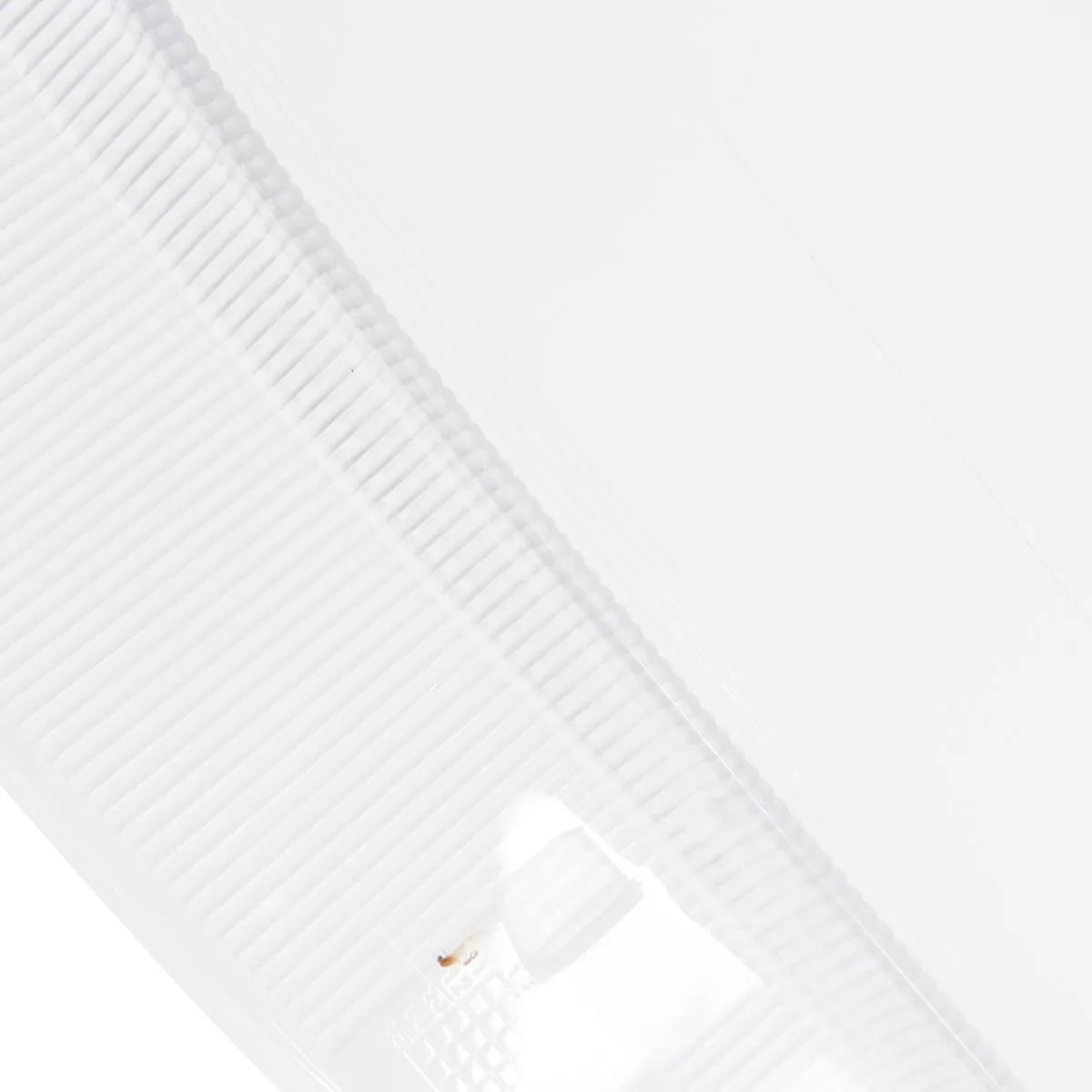 image_b4a709de-04e7-4f73-b3c1-3061e2d0aabe