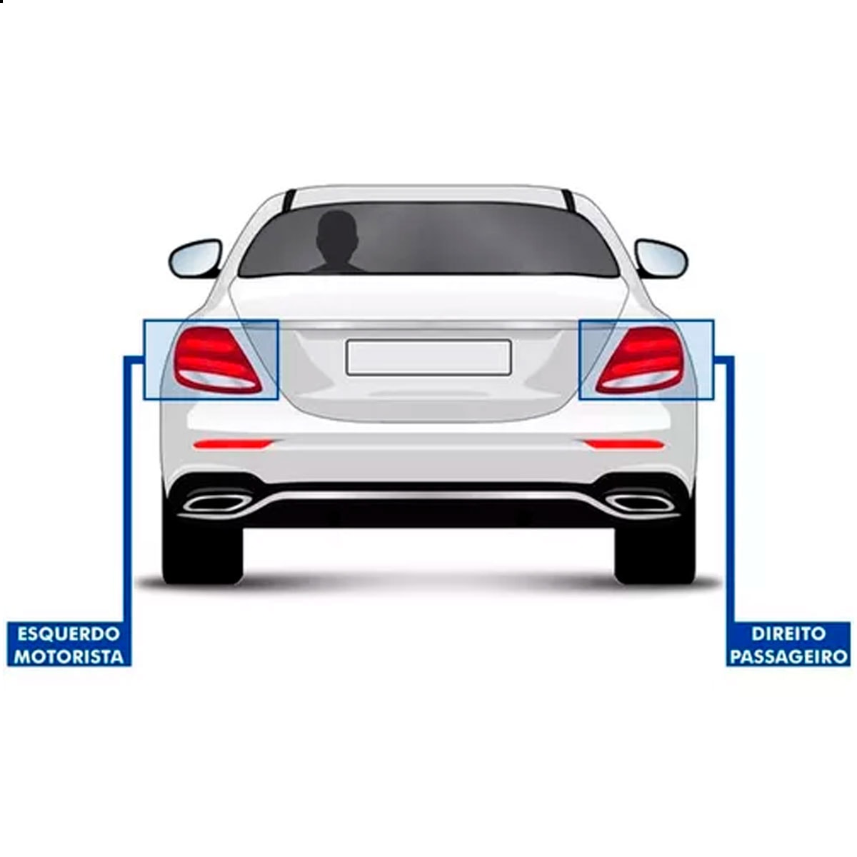 image_ec883c87-1305-408d-9b02-fafc1ddf4f2a