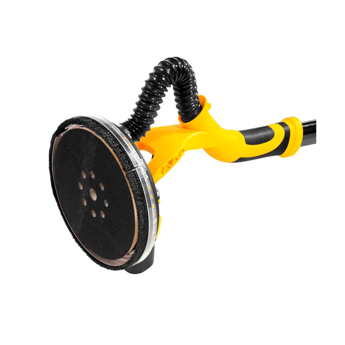 image_e426d7e9-e463-4844-adc5-de495038c4fb